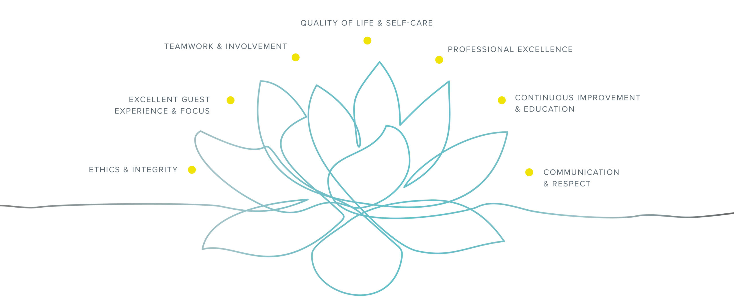 C3 Wellness Spa Company Values